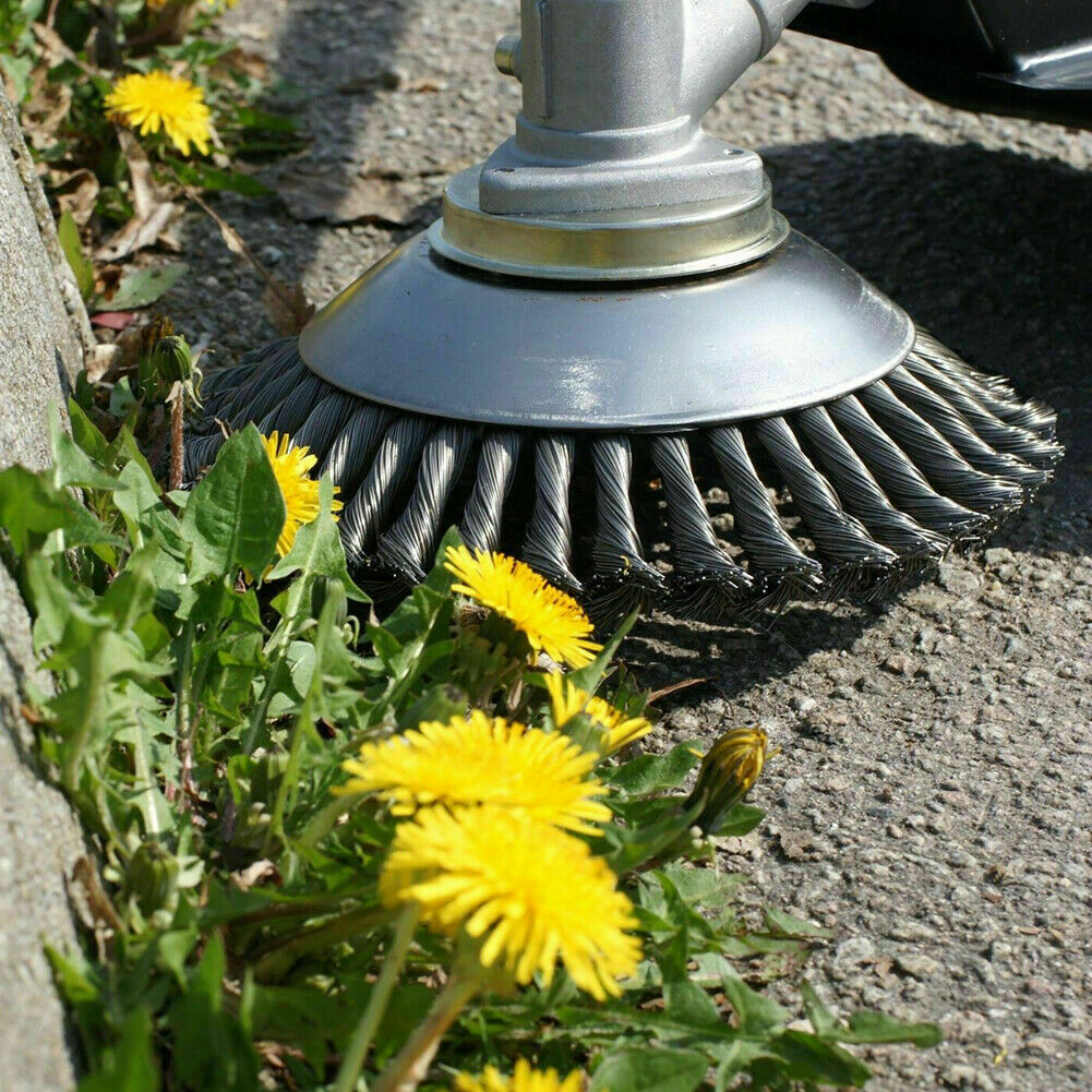 https://i.ebayimg.com/00/s/MTAwMVgxMDAx/z/X24AAOSw5txkMob2/$_57.JPG?set_id=880000500F